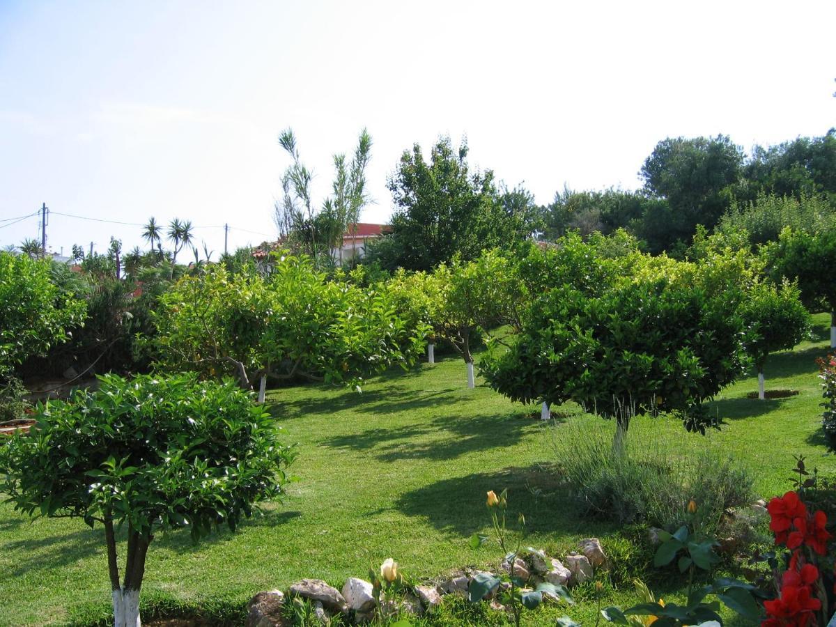 Tara Beach Hotel Skala  Екстер'єр фото